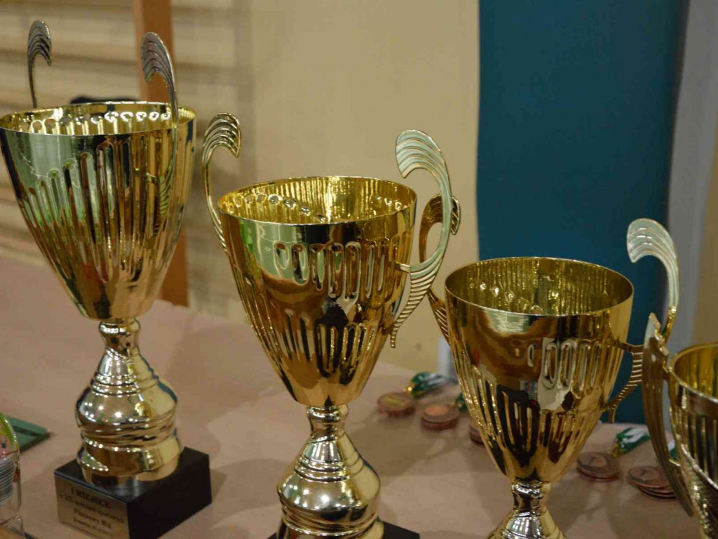 Wola Wapowska zwycięzcą tegorocznej edycji Pluszowego Misia [ZDJĘCIA]