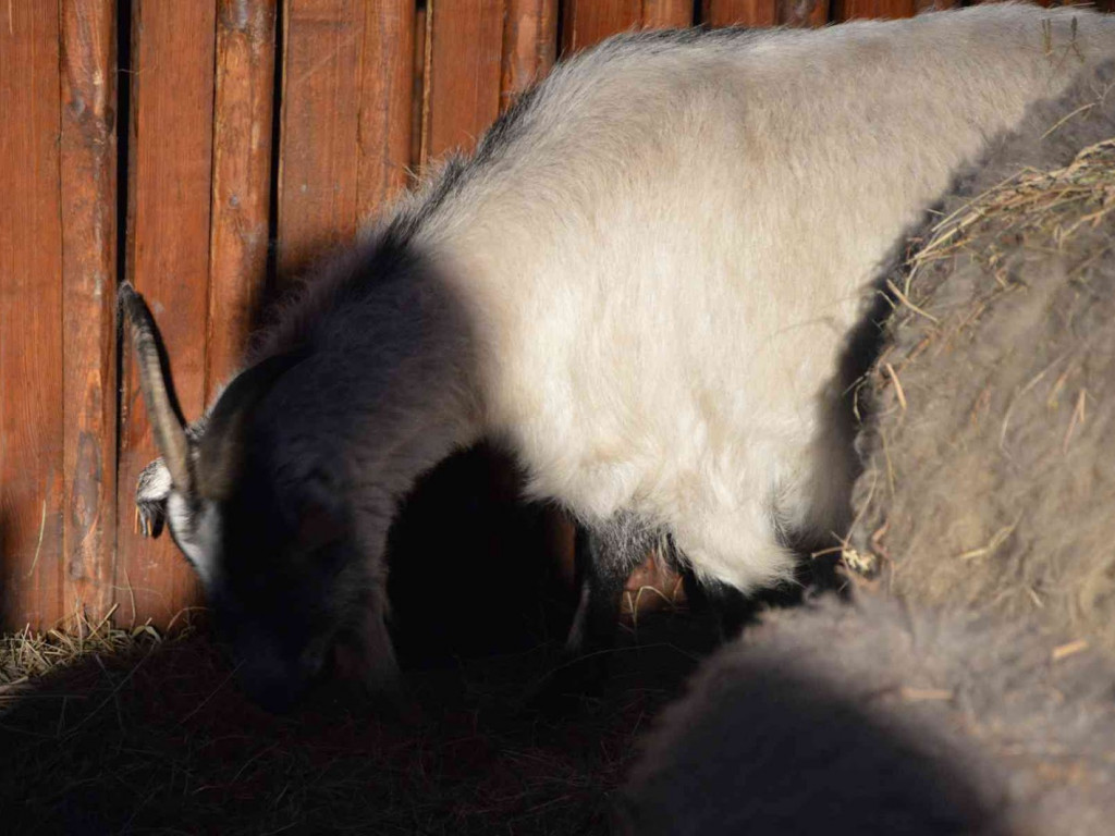 Tak koncertowaliśmy na kruszwickim rynku [VIDEO+FOTO]