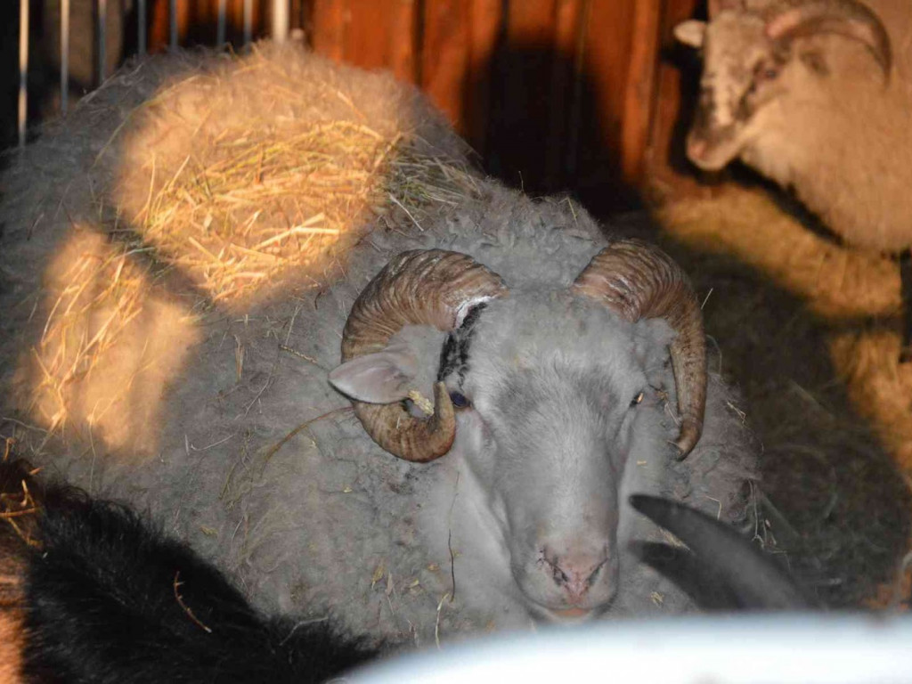 Tak koncertowaliśmy na kruszwickim rynku [VIDEO+FOTO]