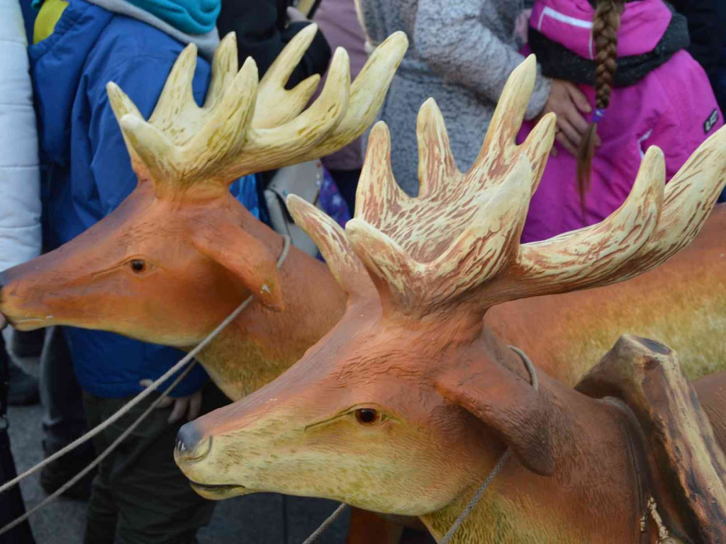 Wspólne kolędowanie na kruszwickim rynku [LIVE]  [FOTO]