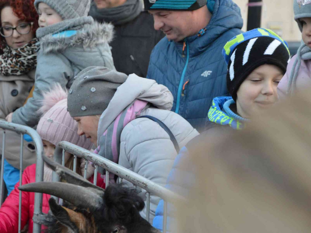 Wspólne kolędowanie na kruszwickim rynku [LIVE]  [FOTO]