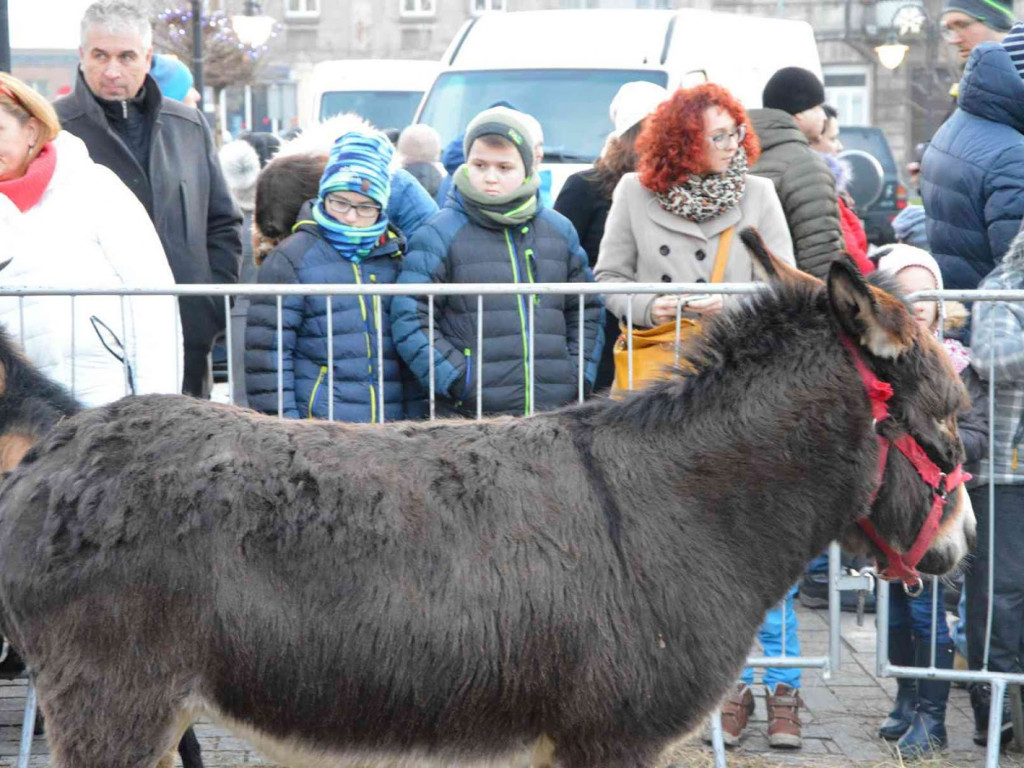 Wspólne kolędowanie na kruszwickim rynku [LIVE]  [FOTO]
