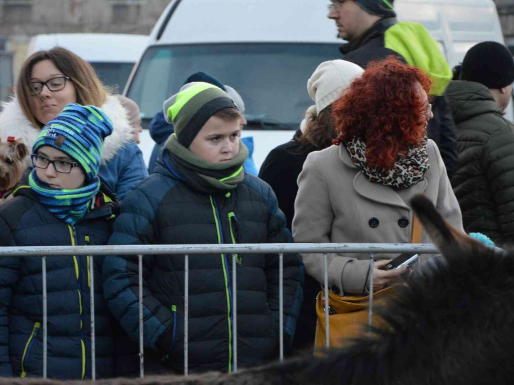 Wspólne kolędowanie na kruszwickim rynku [LIVE]  [FOTO]