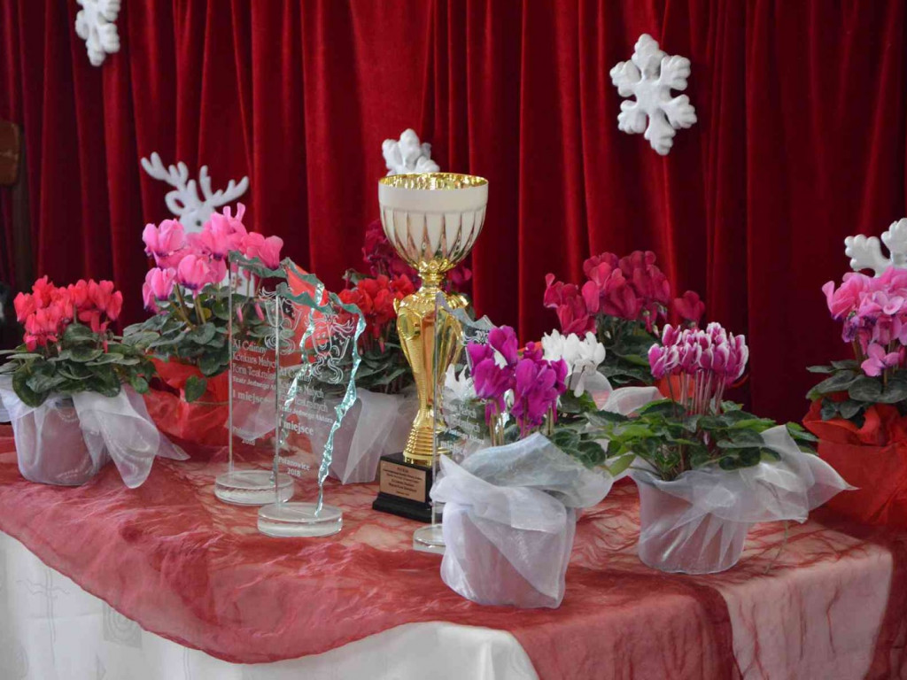 Za nami XI edycja Gminnego Konkursu Małych Form Teatralnych w Polanowicach [FOTO]