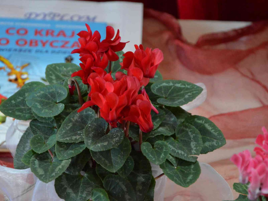 Za nami XI edycja Gminnego Konkursu Małych Form Teatralnych w Polanowicach [FOTO]