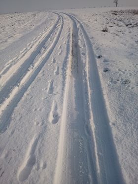 Mieszkańcy zwracają uwagę na fatalny stan drogi [POCZTA+FOTO]