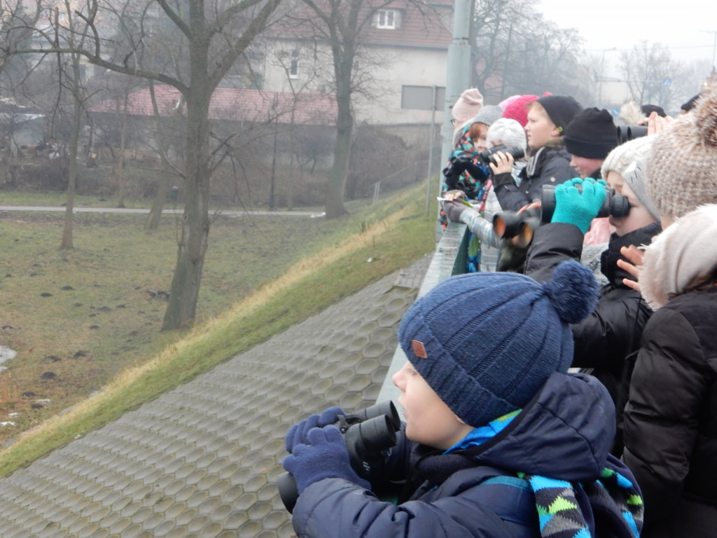 To była ptasia wyprawa. Zobacz zdjęcia