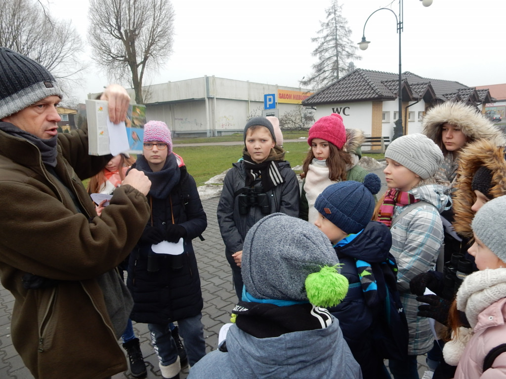 To była ptasia wyprawa. Zobacz zdjęcia