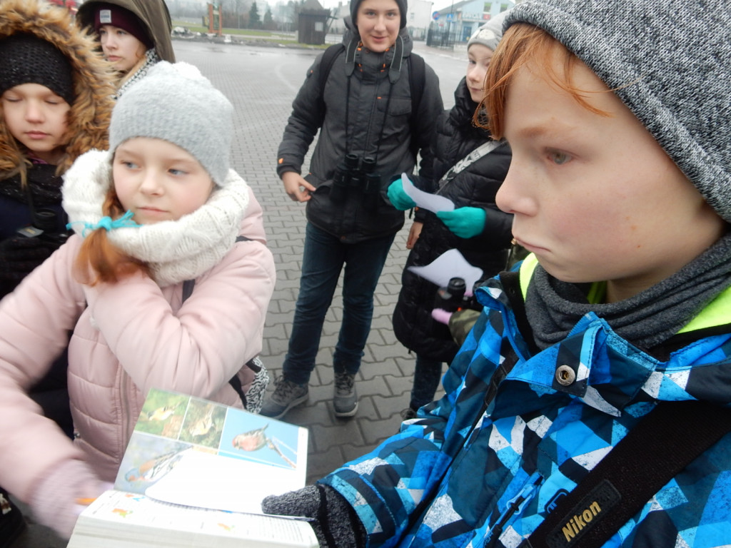 To była ptasia wyprawa. Zobacz zdjęcia