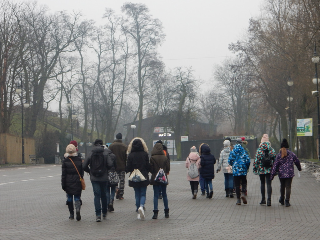 To była ptasia wyprawa. Zobacz zdjęcia
