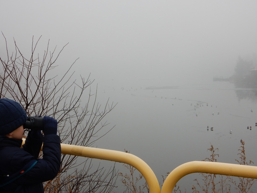 To była ptasia wyprawa. Zobacz zdjęcia