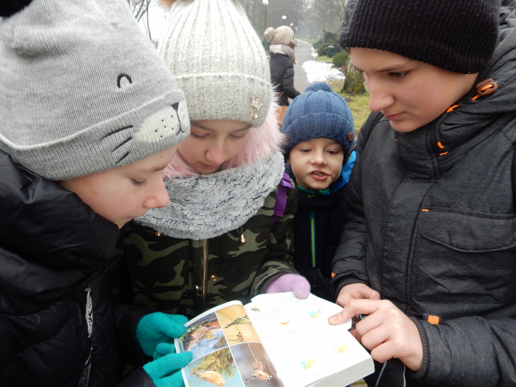 To była ptasia wyprawa. Zobacz zdjęcia