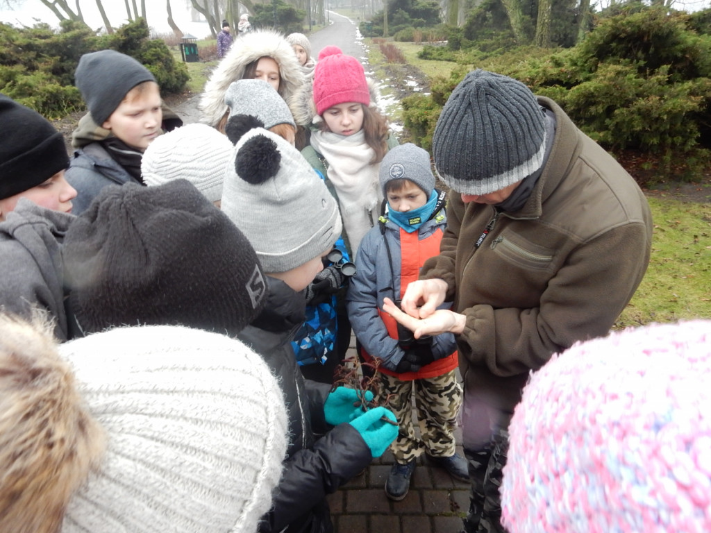 To była ptasia wyprawa. Zobacz zdjęcia