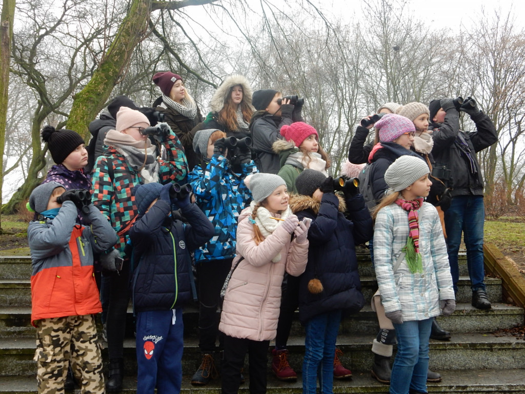 To była ptasia wyprawa. Zobacz zdjęcia