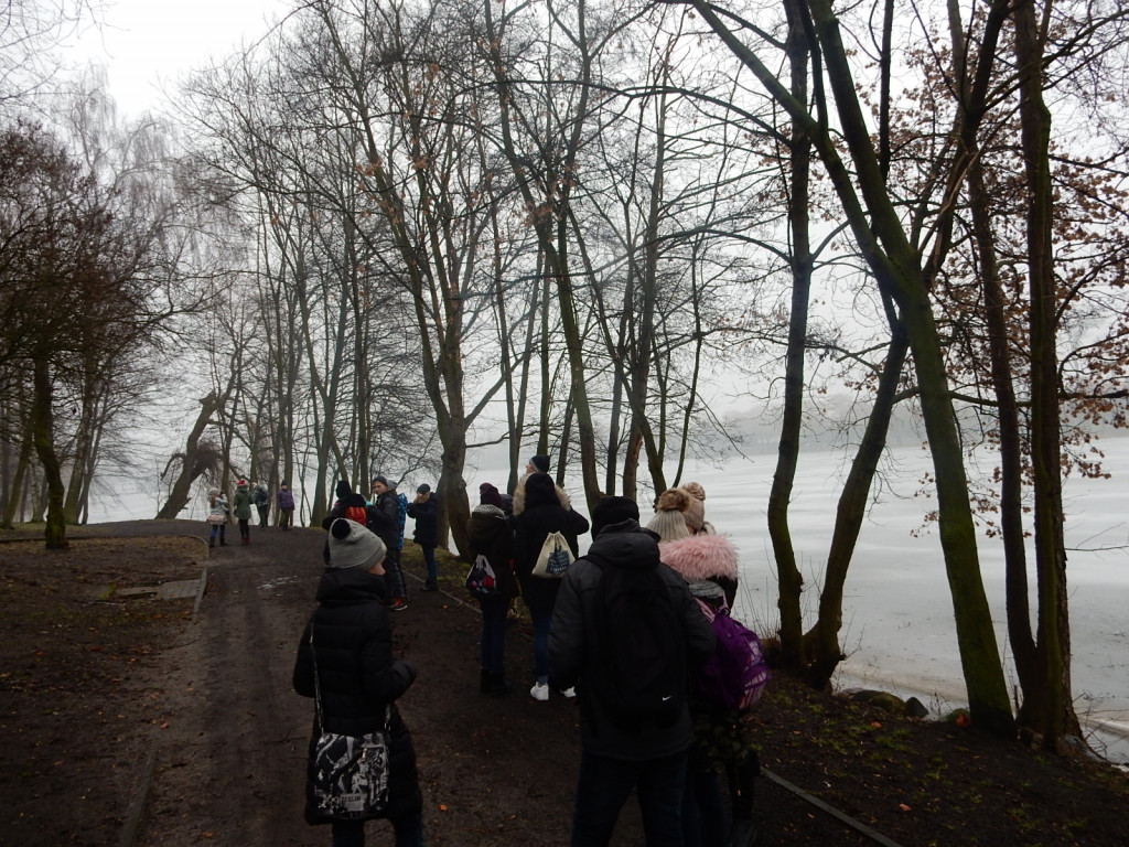 To była ptasia wyprawa. Zobacz zdjęcia