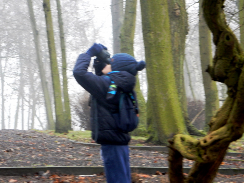 To była ptasia wyprawa. Zobacz zdjęcia