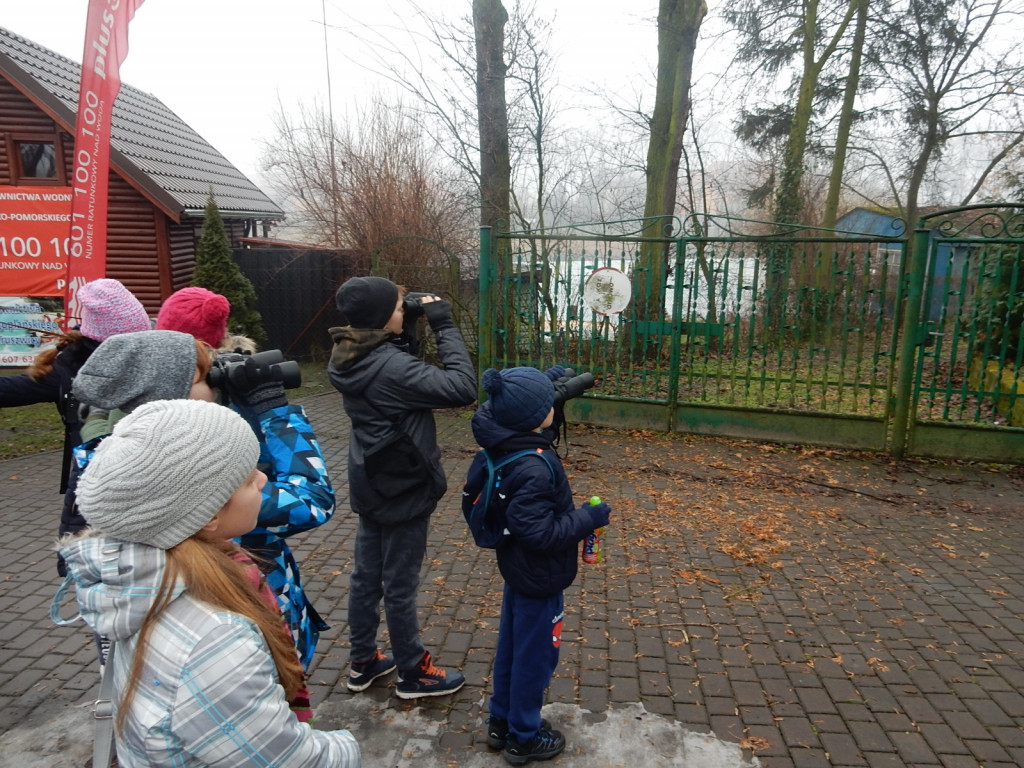 To była ptasia wyprawa. Zobacz zdjęcia