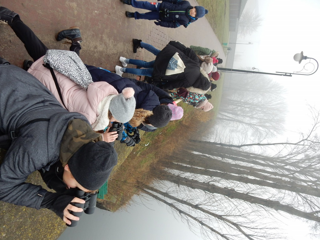 To była ptasia wyprawa. Zobacz zdjęcia