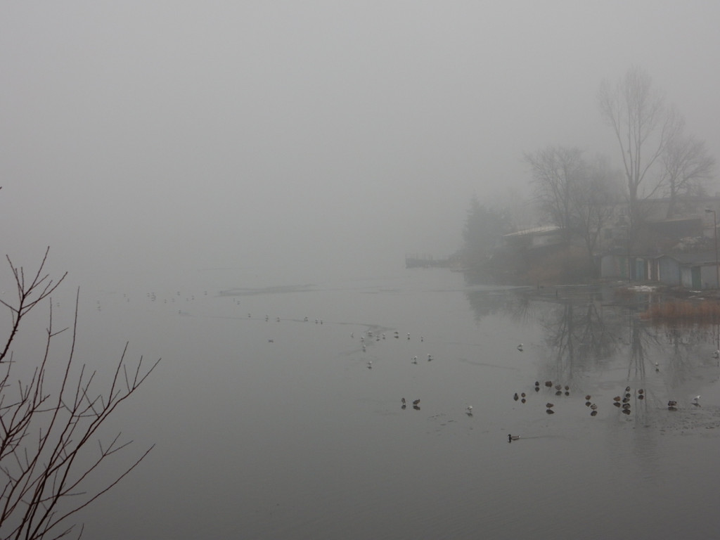 To była ptasia wyprawa. Zobacz zdjęcia