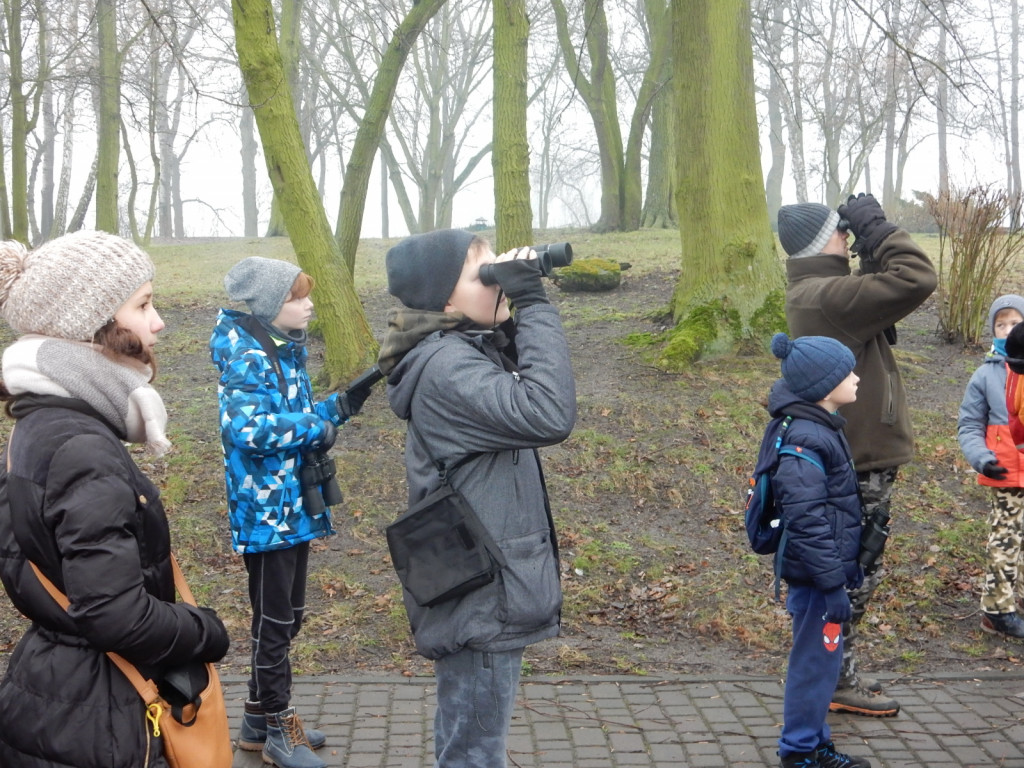 To była ptasia wyprawa. Zobacz zdjęcia