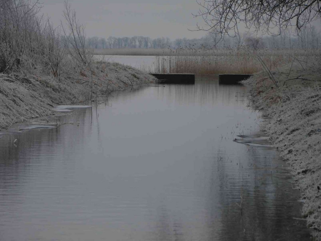 Rośnie poziom wody w Gople. Czy grozi nam powódź? [AUDIO]