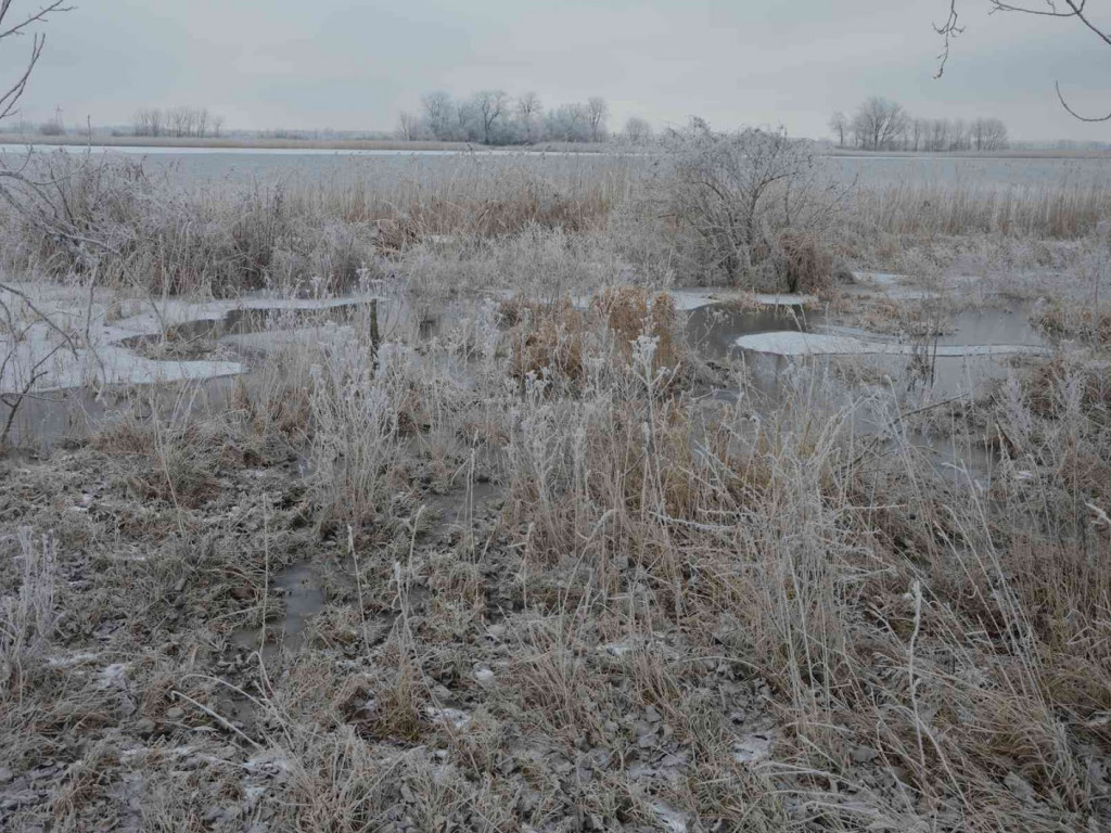 Rośnie poziom wody w Gople. Czy grozi nam powódź? [AUDIO]