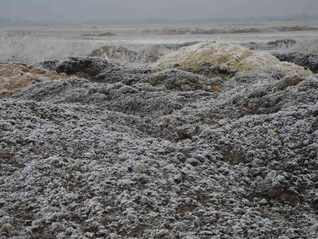 Na Wrzosowej zmagają się z problemem podtopień. Czy droga ulegnie zniszczeniu? - MojaKruszwica.pl