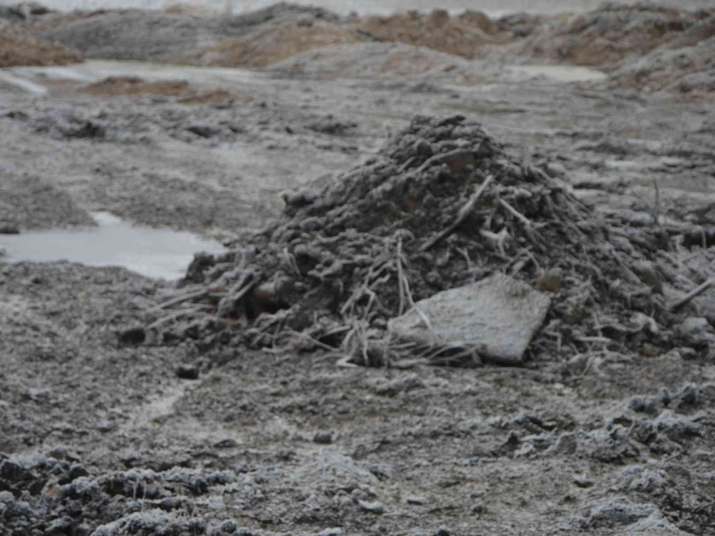 Na Wrzosowej zmagają się z problemem podtopień. Czy droga ulegnie zniszczeniu? - MojaKruszwica.pl