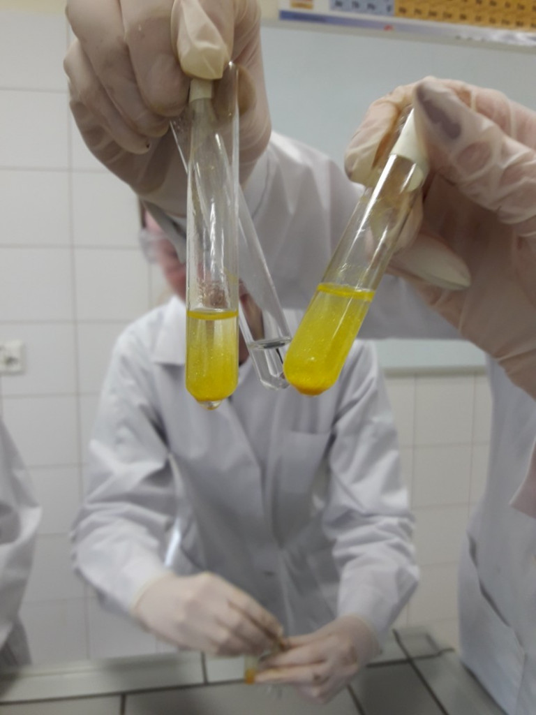 Uczniowie Zespołu Szkół Ogólnokształcących w Kruszwicy wzięli udział w zajęciach laboratoryjnych