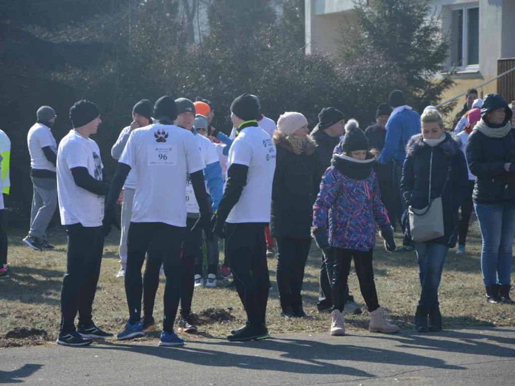 Pobiegli Wilczym Tropem. Kilkuset biegaczy wzięło udział w wydarzeniu