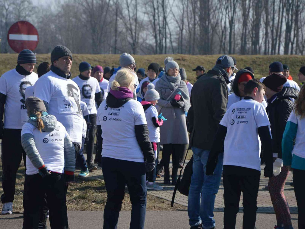 Pobiegli Wilczym Tropem. Kilkuset biegaczy wzięło udział w wydarzeniu