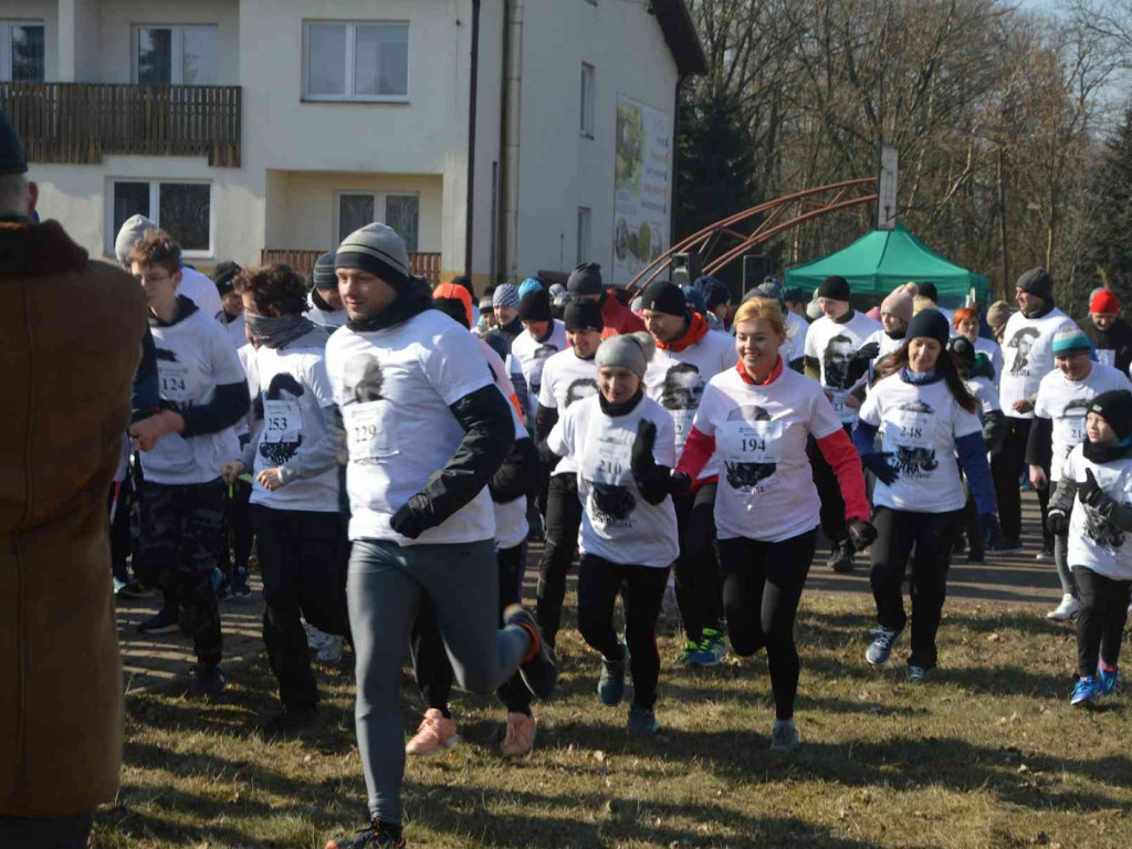 Pobiegli Wilczym Tropem. Kilkuset biegaczy wzięło udział w wydarzeniu