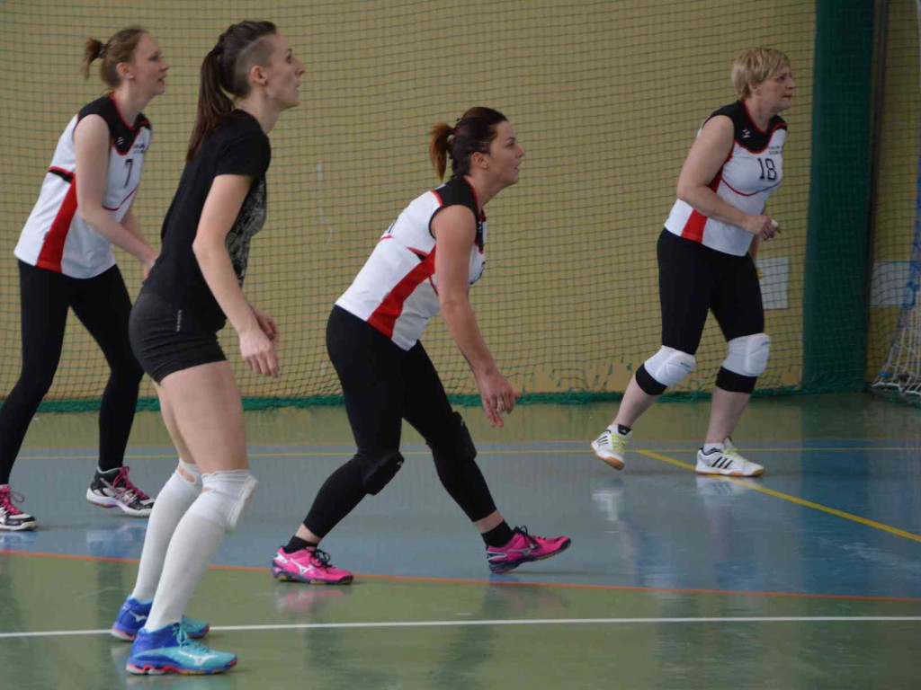 Zmagania pod siatką. Panie miały swoje święto. Spędziły je na sportowo