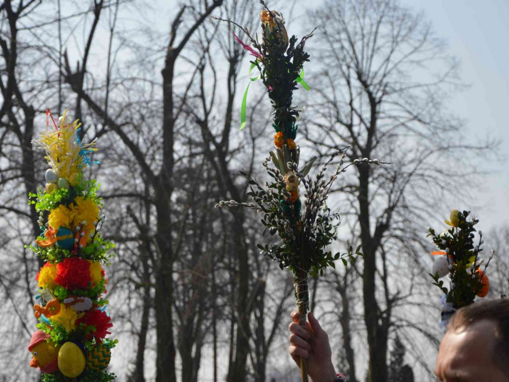 Wybieraliśmy najpiękniejsze palmy wielkanocne [FOTO]