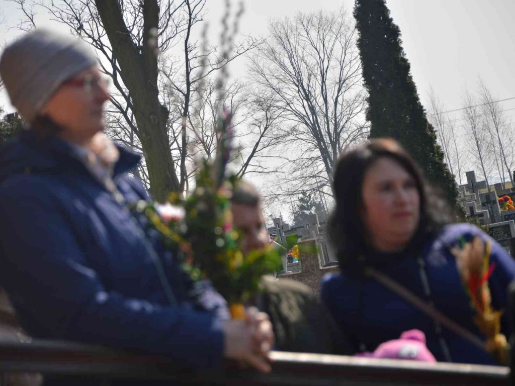 Wybieraliśmy najpiękniejsze palmy wielkanocne [FOTO]