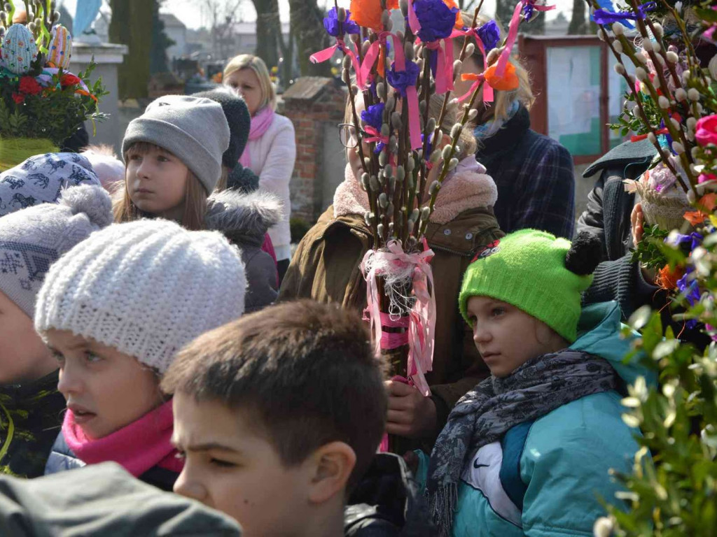 Wybieraliśmy najpiękniejsze palmy wielkanocne [FOTO]