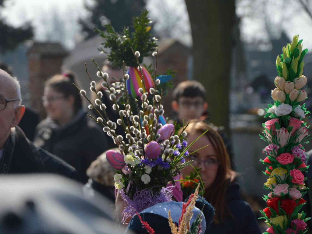 Wybieraliśmy najpiękniejsze palmy wielkanocne [FOTO]