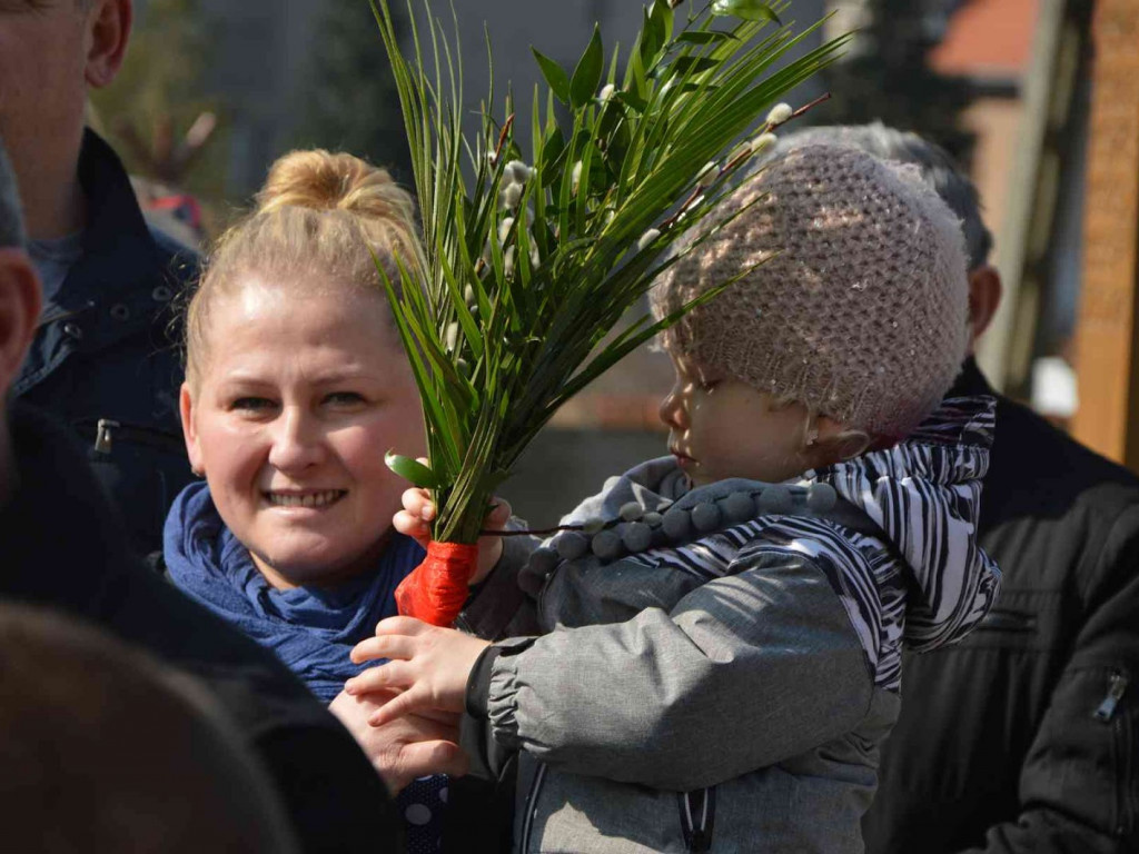 Wybieraliśmy najpiękniejsze palmy wielkanocne [FOTO]