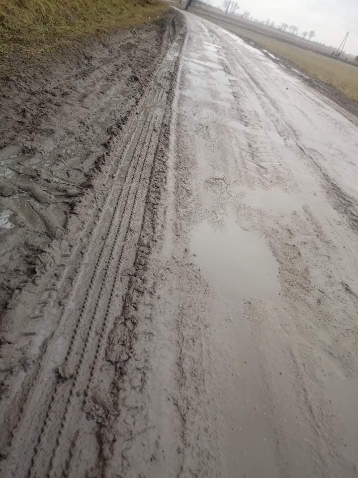 Internauci: Zróbcie coś z drogą w miejscowości Maszenice!
