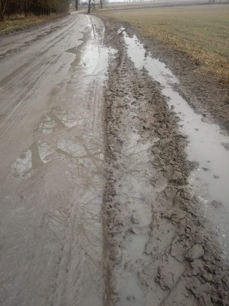 Internauci: Zróbcie coś z drogą w miejscowości Maszenice!