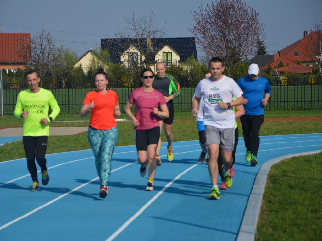 Biegowe spotkanie. Sportowe powitanie wiosny