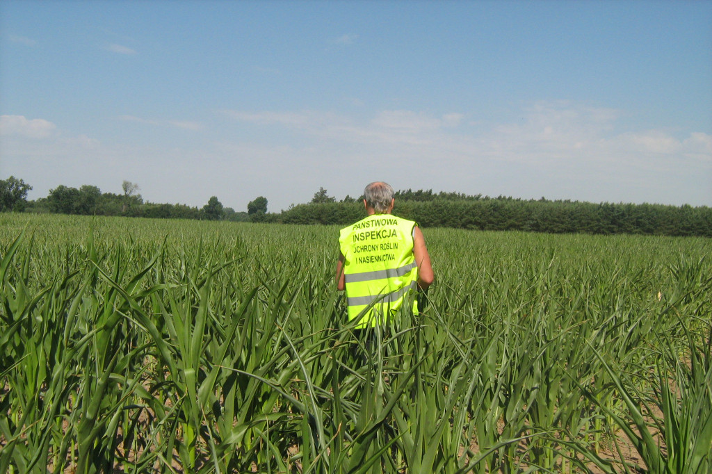 GMO w województwie