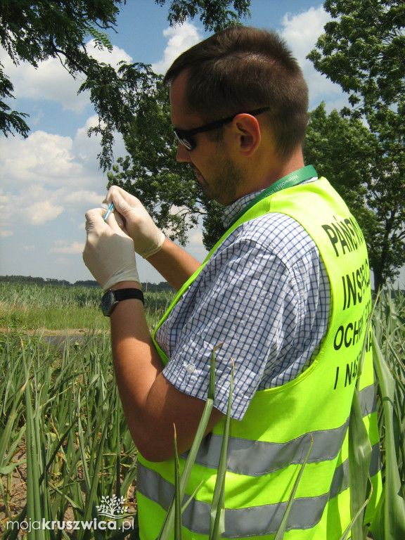 GMO w województwie