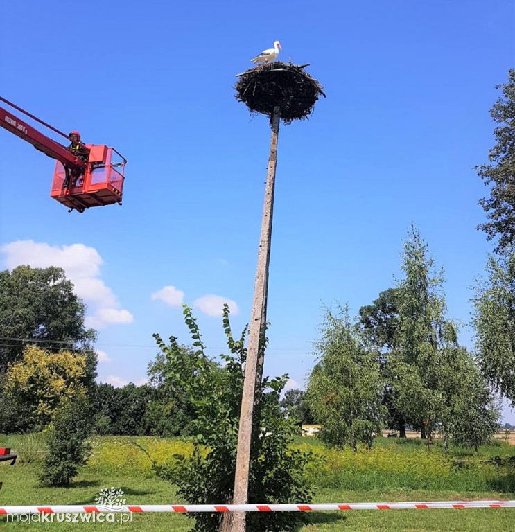 Bocianie gniazdo w Ostrówku