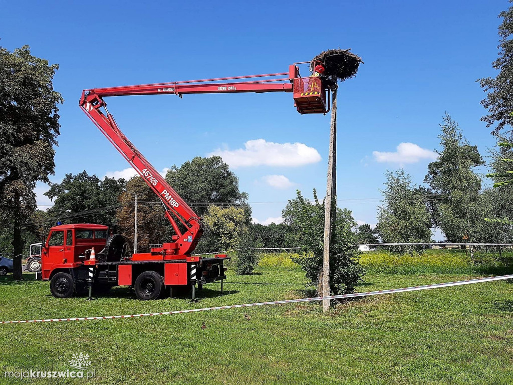 Bocianie gniazdo w Ostrówku