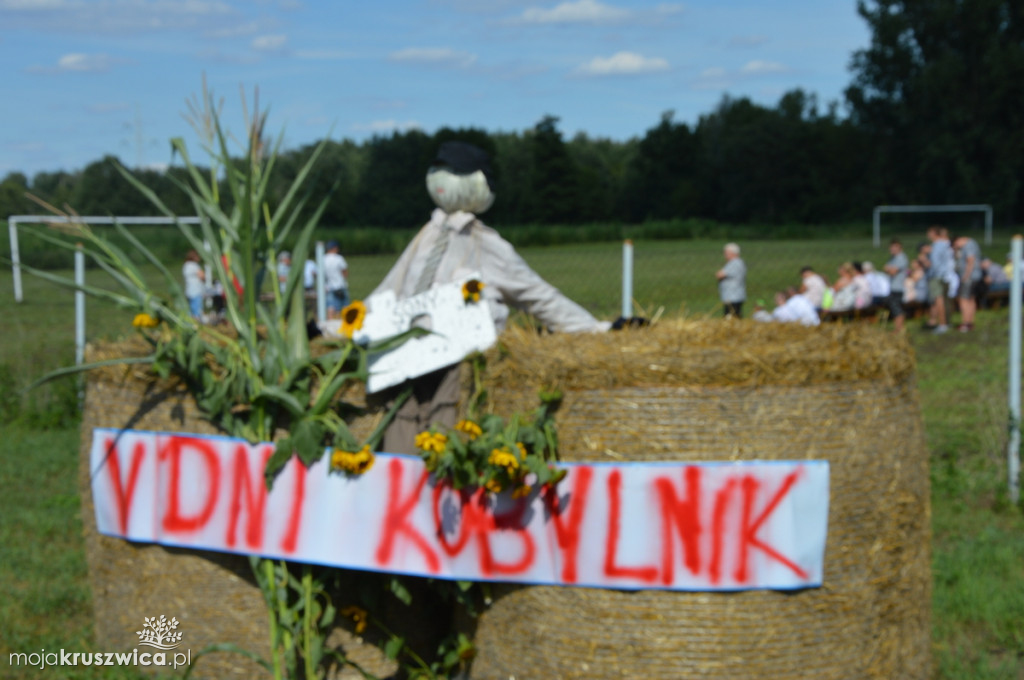Dni Kobylnik
