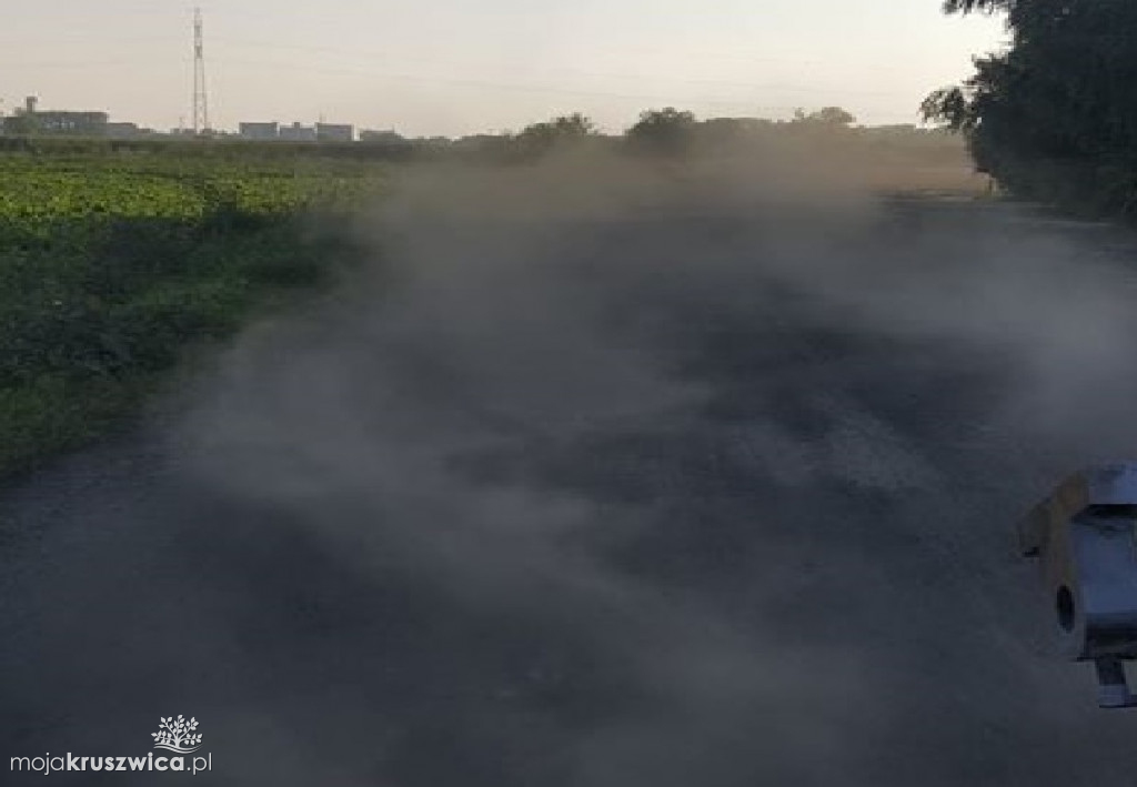 Na Orlej jak na safari. Mieszkańcy oburzeni stanem drogi [VIDEO, FOTO]