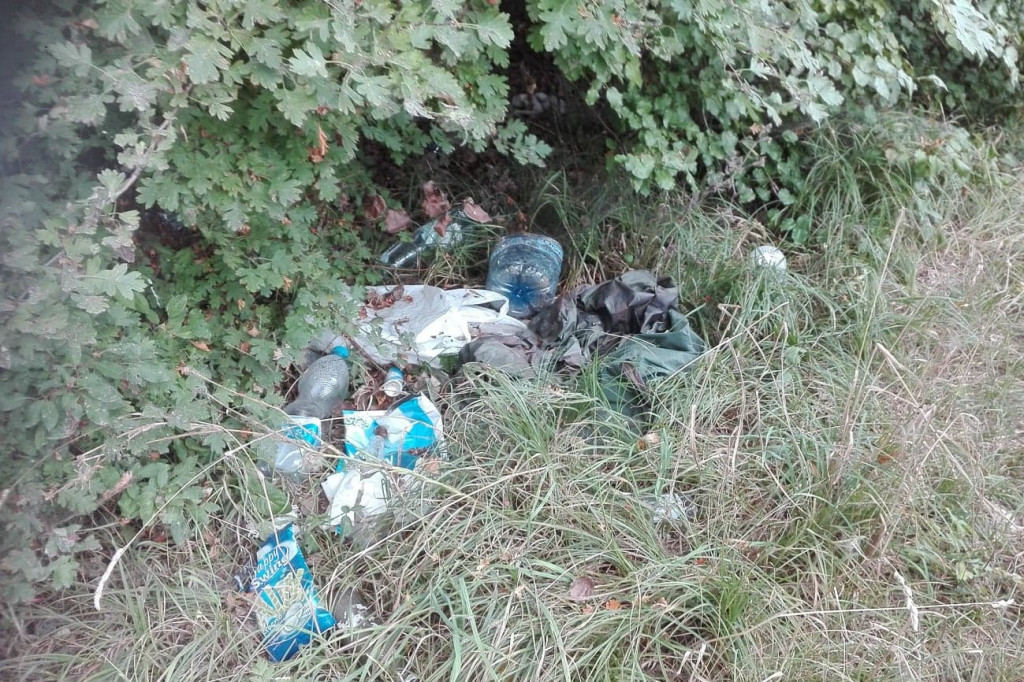 Śmieci nad Gopłem