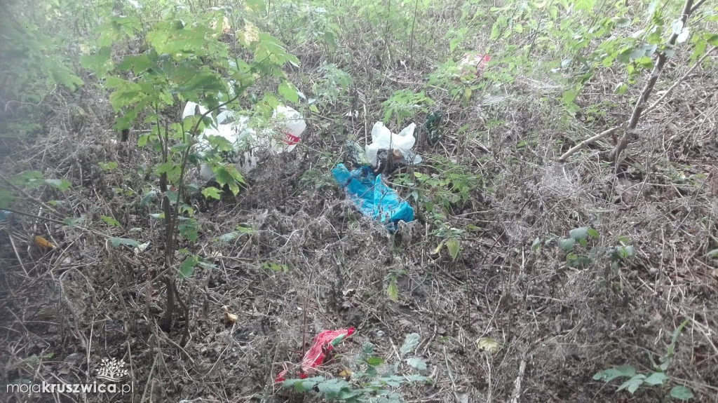 Śmieci nad Gopłem