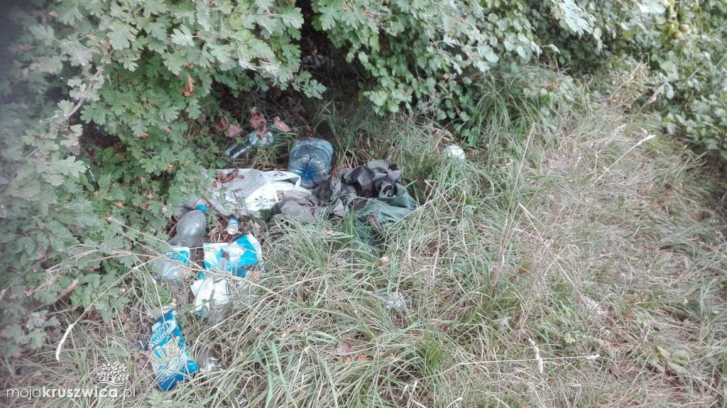 Śmieci nad Gopłem